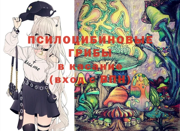 мдпв Ростов